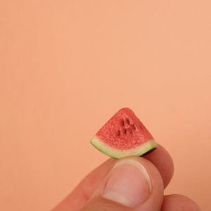 miniGARTEN Wassermelone